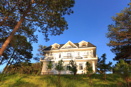 Da Lat town, Lam Dong province, Vietnam - October 30, 2015: Beautiful landscape at Dalat villas, villas on the blue sky, green pine forest eco print Among the fresh air resort, pure environment, romantic scene for honeymoon at Da Lat, Vietnamのeditorial素材