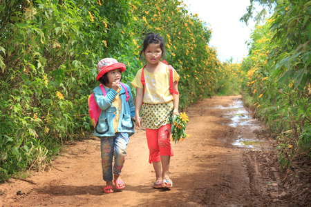 Lam Dong Province, Vietnam - November 7, 2015: in the dry season, wild sunflowers bloom everywhere on the plateau. Two kids go together on the road through a field full of wild sunflowersのeditorial素材