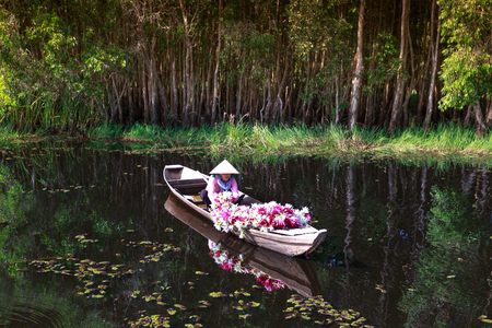 Moc Hoa District, Long An Province, Vietnam - November 22, 2015: Harvest lilies. After harvesting water lilies, the woman home on the canal Carrying. The People of this region used as a vegetable dish lilies byのeditorial素材