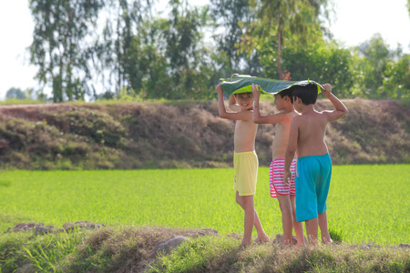Moc Hoa District, Long An Province, Vietnam - November 22, 2015: in the weekend, children playing often Do Frolic print rural Villages, rice paddies Beside the romp togetherのeditorial素材