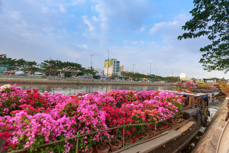 Hochiminh City, Vietnam -February 03, 2016 - In a week of the annual Lunar New Year, many boats loaded with many kinds flowers from the garden in the southwest through the canals gathering at the wharf BinhDong on TauHu canal , forming a large flower markのeditorial素材
