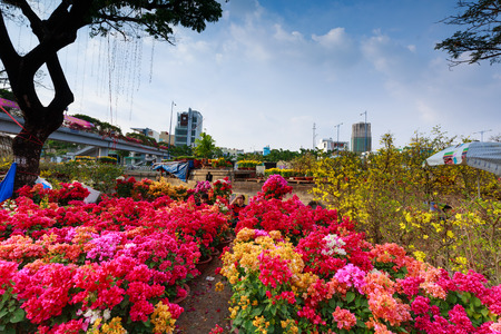 Hochiminh City, Vietnam - February 04, 2016 - In a week of the annual Lunar New Year, many boats loaded with many kinds flowers from the garden in the southwest through the canals gathering at the wharf BinhDong on TauHu canal , forming a large flower marのeditorial素材