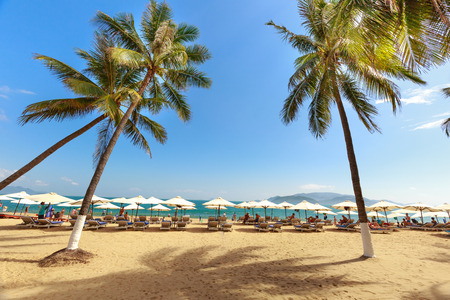Nha Trang city, Vietnam - Janruary 30, 2016 : overlooking the beautiful coast of Nha Trang with palm trees on the beach with deck chair and parasolのeditorial素材