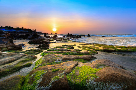 At a season of year at dawn, the stones in the Co Thach coast were fully covered with moss and seaweed. That coast is located in Tuy Phong, Binh Thuan province, Vietnamの写真素材