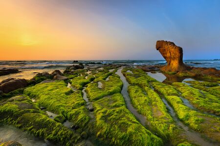 At a season of year at dawn, the stones in the Co Thach coast were fully covered with moss and seaweed. That coast is located in Tuy Phong, Binh Thuan province, Vietnamの写真素材