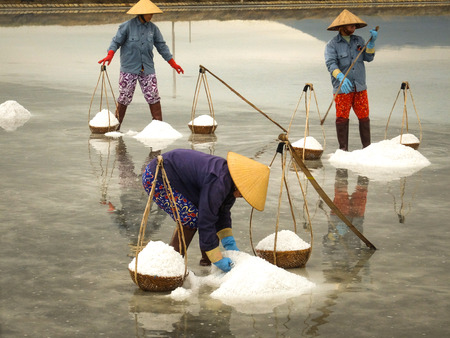 Ninh Thuan Province, Vietnam - February 28, 2016 :the women are working on salt field at dawn. Salt field Hon Khoi in Nha Trang, Viet Nam. Workers transporting salt from the fields Hon Khoi, Viet Nam.のeditorial素材