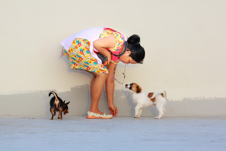 Ho Chi Minh City, Vietnam - June 29, 2016: woman and pet dog was walking on the terrace of an apartment building in the city of Ho Chi Minh Cityのeditorial素材
