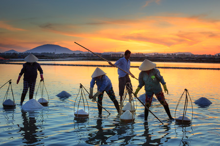 Hon Khoi, Khanh Hoa Province, Vietnam - July 30, 2016 :the women are working on salt field at dawn. Salt field Hon Khoi in Nha Trang, Viet Nam. Workers transporting salt from the fields Hon Khoi, Viet Nam.のeditorial素材