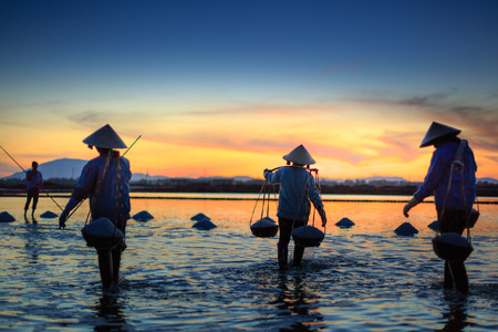 Khanh Hoa Province, Vietnam - July 30, 2016 :the women are working on salt field at dawn. Salt field Hon Khoi in Nha Trang, Viet Nam. Workers transporting salt from the fields Hon Khoi, Viet Nam.のeditorial素材