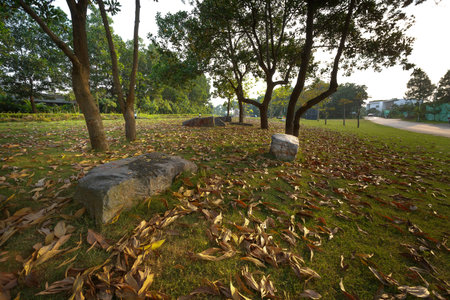 Stone and the lawn full of yellow leaves falling off into the sunsetの写真素材