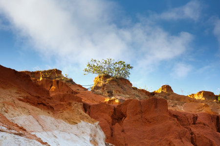 The natural geological shapes in a canyon called Red Stream, located near the Mui Ne beach of Binh...