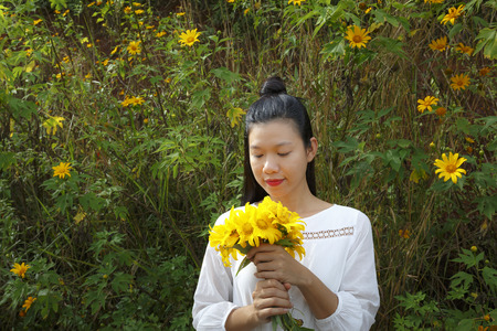 Bao Loc, Lam Dong Province, Vietnam - November 5, 2016 : young girl holding a bouquet of freshly picked wild sunflower between the bushes of wild sunflower bloom in yellow, colorful sceneのeditorial素材