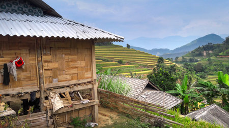 House and terraced rice fields, Hoang Su Phi, Vietnamの写真素材