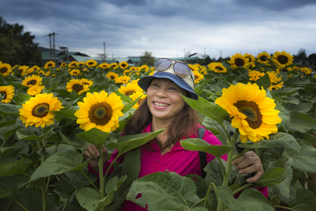 Lam Dong province, Viet Nam - February 19, 2017: Image of a beautiful Asian woman smiling happily with the new blooming sunflowerのeditorial素材