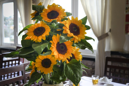 Da Lat town, Viet Nam - February 19th, 2017: beautiful sunflower vase is decorated on the dining table of a restaurant in the Dalat town, Vietnamのeditorial素材