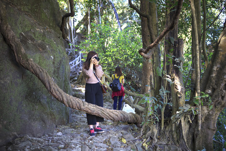 Bao Loc town, Lam Dong Province, Vietnam - February 28, 2017: tourists are going to explore the road in a stones ravine in the forest  in Bao Loc, Lam Dong Province, Vietnam.のeditorial素材