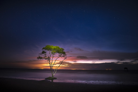 Dawn on the beach with lonely tree. Photo taken with long exposure timeの写真素材