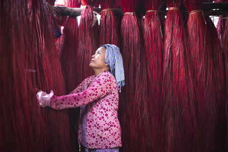 Dinh Yen weaving mat village, Dong Thap province, Vietnam - March 18, 2017: A woman is checking the quality of Cyperus bundles before moving to factory to weave sleeping matsのeditorial素材