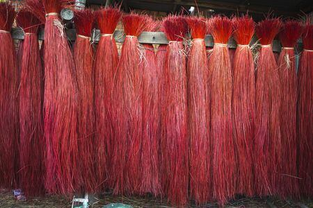 red Cyperus sun dried fibers of sedge, papyrus, natural fiber growing in natural wetland processed for use as raw materials for weaving sleeping mat traditional hand craft work product in Viet namの写真素材