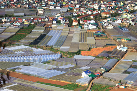 Da Lat town,Vietnam - April 29 ,2017 : in a valley in Dalat with the greenhouse to plant flowers and...