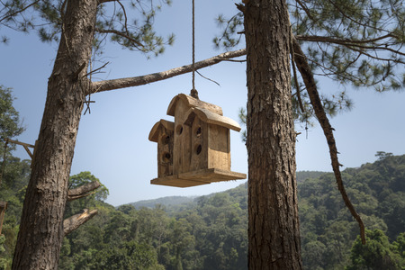 tree house for the birds in the forest.の写真素材