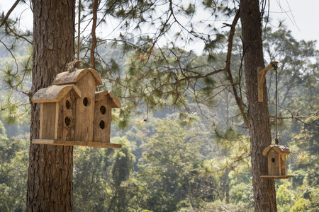 tree house for the birds in the forest.の写真素材