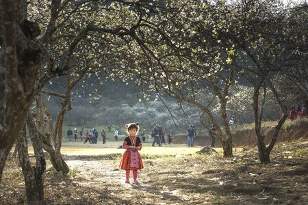 Moc Chau, Son La Province, Vietnam - January 20, 2018: H'Mong ethnic minority children in the most beautiful clothes playing together to welcome H'Mong Lunar New Yearのeditorial素材