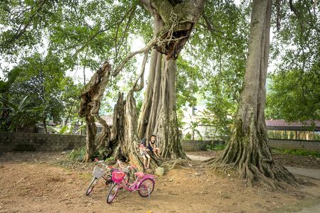 Bac Son District, Lang Son Province, Vietnam - July 13, 2018: Children in the village with colorful bicycles under banyan trees in Bac Son district, Lang Son Province, Vietnamのeditorial素材