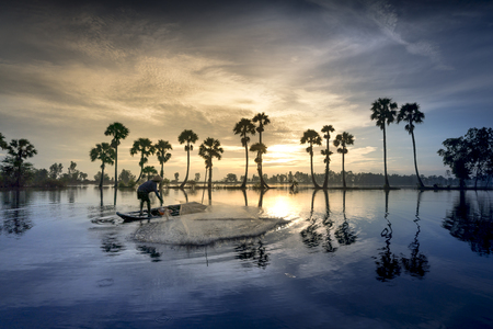 Beautiful landscape of nature with dramatic cloudscape, row of palm trees in silhouette reflect on the surface water of the river at sunrise at Tinh Bien , An Giang province, Mekong Delta, Vietnamの写真素材