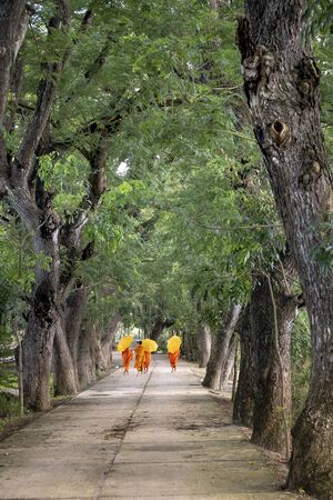 Temple in Tinh Bien district at An Giang province, Viet Nam - September 23, 2018:  Monks with begging bowls beneath saffron robes go out in the morning in West Vietnamのeditorial素材