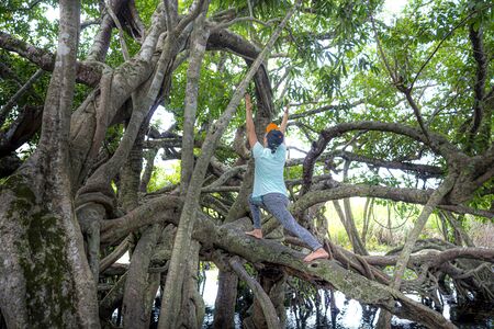 Nam Cat Tien National Park, Dong Nai Province, Vietnam, August 17, 2019: Female visitors visit Ficus Tree , ficus benjamina in the nature reserve of Nam Cat Tien National Park, Vietnamのeditorial素材