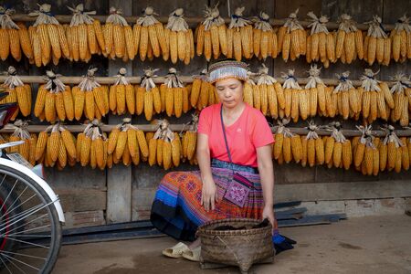 Mu Cang Chai, Yen Bai Province, Vietnam - September 19, 2019: a female tourist dressed in a traditional H'Mong ethnic costume is posing for photos in Mu Cang Chai, Yen Bai province, Vietnamのeditorial素材