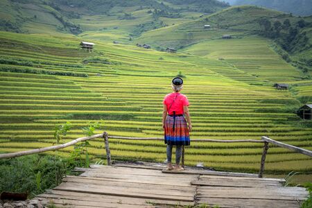 Mu Cang Chai, Yen Bai Province, Vietnam - September 18, 2019: a female tourist dressed in traditional H'Mong ethnic costumes is watching the terraced fields in Mu Cang Chai, Yen Province Bai, Vietnamのeditorial素材