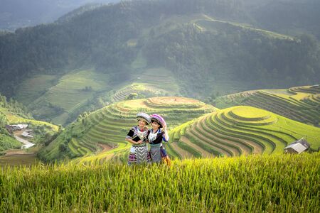 Mu Cang Chai, Yen Bai Province, Vietnam - September 19, 2019: view of terraced rice field in harvest season in Mu Cang Chai, Yen Bai province, northern of Vietnamのeditorial素材