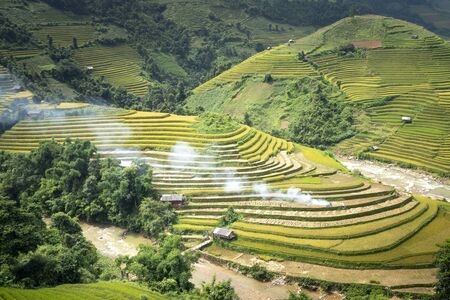 Paddy rice terraces with ripe yellow rice. Agricultural fields in countryside area of Mu Cang Chai, Yen Bai, mountain hills valley in Asia, Vietnam. Nature landscape backgroundの写真素材