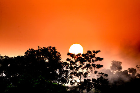 Close-up image of the sun behind a tree at sunset. Beautiful sunsets with orange and red skies...