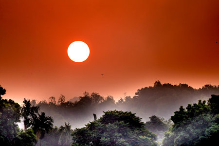 Close-up image of the sun behind a tree at sunset. Beautiful sunsets with orange and red skies behind treetops and mountains. concept of lonelinessの写真素材