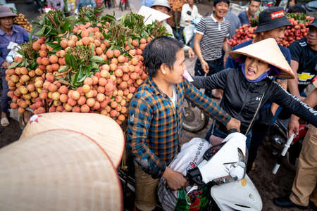 Luc Ngan District, Bac Giang Province, Vietnam - July 10, 2020: Farmers harvest litchi fruits and transport them by motorbike for sale at the marketのeditorial素材