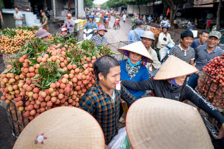 Luc Ngan District, Bac Giang Province, Vietnam - July 10, 2020: Farmers harvest litchi fruits and transport them by motorbike for sale at the marketのeditorial素材
