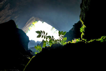 Moc Chau District, Son La Province, Vietnam - July 13, 2020: Exploration inside Moc Suong Cave in Moc Chau District, Son La Province, Vietnamのeditorial素材