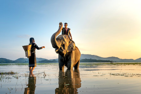 Dak Lak Province, Vietnam-September 6, 2020: The ethnic minority young people bathe their elephants in Lak lake in Dak Lak province, Vietnamのeditorial素材