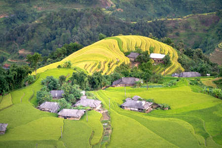 Phung village, Hoang Su Phi district, Ha Giang province, Vietnam - September 11, 2020: Enjoy the beautiful scenery of Phung village, Hoang Su Phi district, Vietnam from above during the rice ripeningのeditorial素材
