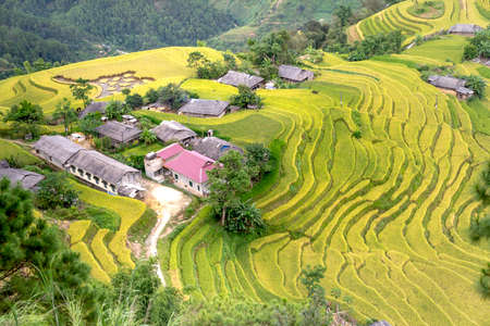 Phung village, Hoang Su Phi district, Ha Giang province, Vietnam - September 11, 2020: Enjoy the beautiful scenery of Phung village, Hoang Su Phi district, Vietnam from above during the rice ripeningのeditorial素材