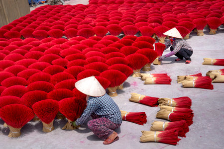 Traditional incense making village Ung Hoa, Hanoi, Vietnam - May 26, 2020: Traditional village workers of Ung Hoa incense are doing the incense drying process. This is a famous craft incense making VNのeditorial素材