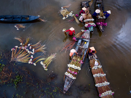 Long An Province, Viet Nam - October 25, 2020: Beautiful images from above: Rural women in Kien...