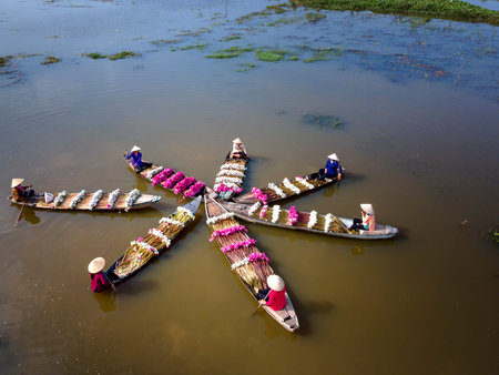 Long An Province, Viet Nam - October 25, 2020: Beautiful images from above: Rural women in Kien...