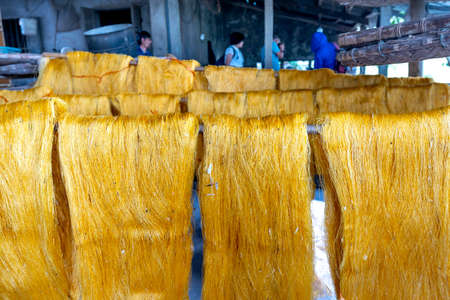 Hong Ly Commune, Thai Binh Province, Vietnam - November 14, 2020: The village of silkworm raising in Hong Ly commune is now famous for its traditional profession, which is silkworm raising and silk nuのeditorial素材