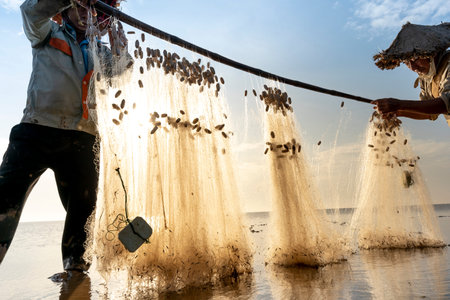 Diem Dien beach, Thai Thuy commune, Thai Binh province, Vietnam - November 14, 2020: The image of fishermen in fishing village using homemade tools to catch clam at sea at dawnのeditorial素材