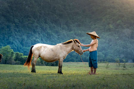 Lang Son Province, Vietnam - November 10, 2020: Farmers are tending to the herd of horsesのeditorial素材