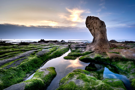 Stone and green moss in Co Thach beach, Binh Thuan, Viet Namの写真素材